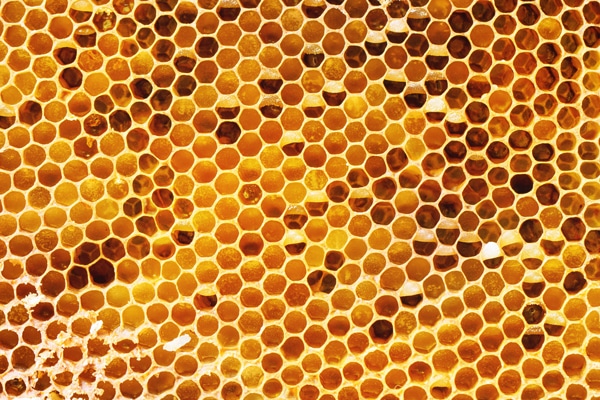 Nomex Honeycomb Core Paddles