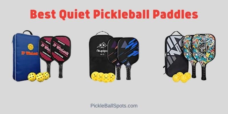 Best Quiet Pickleball Paddles