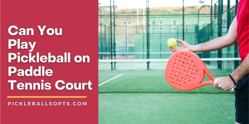 Can You Play Pickleball On Paddle Tennis Court? Here Is How