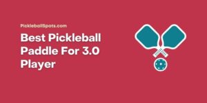 Best Pickleball Paddle For 3.0 Player