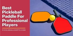 Best Pickleball Paddle For Professional Players