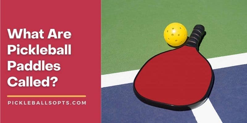 What Are Pickleball Paddles Called? [Explained]