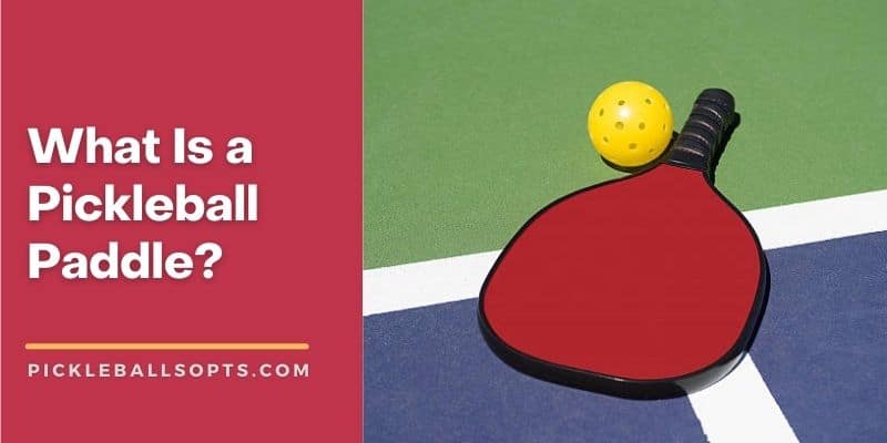 What Is A Pickleball Paddle? (Explained)