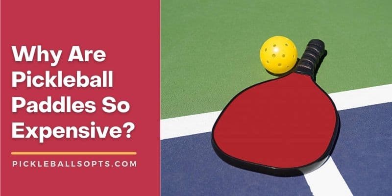 Why Are Pickleball Paddles So Expensive? [Get The Best Deal]