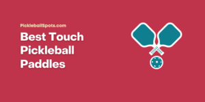 Best Touch Pickleball Paddles