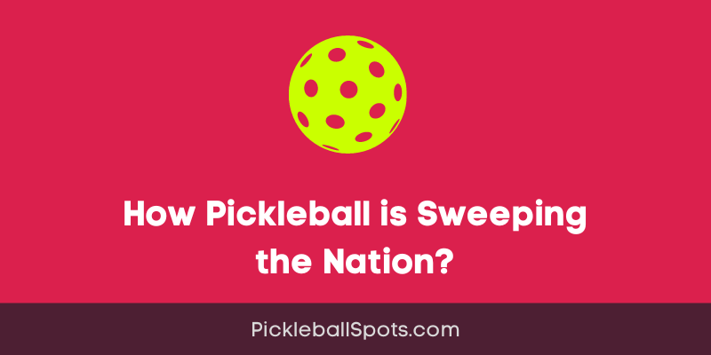 From Basements To Backyards: How Pickleball Is Sweeping The Nation?
