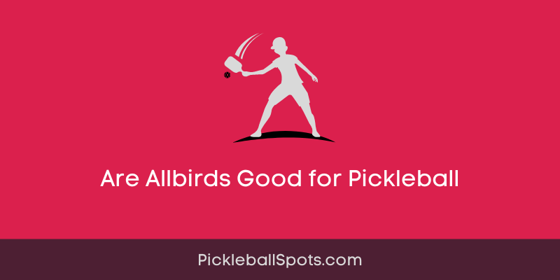 Are Allbirds Good For Pickleball?