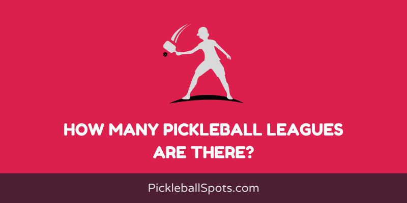How Many Pickleball Leagues Are There?