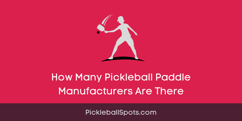 How Many Pickleball Paddle Manufacturers Are There?