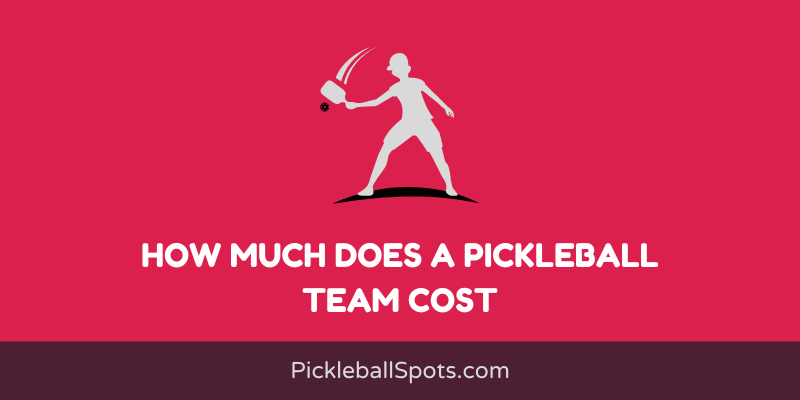 How Much Does A Pickleball Team Cost?