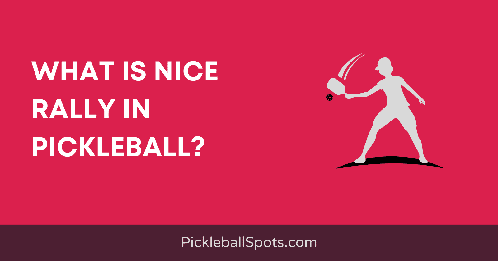 What Is Nice Rally In Pickleball