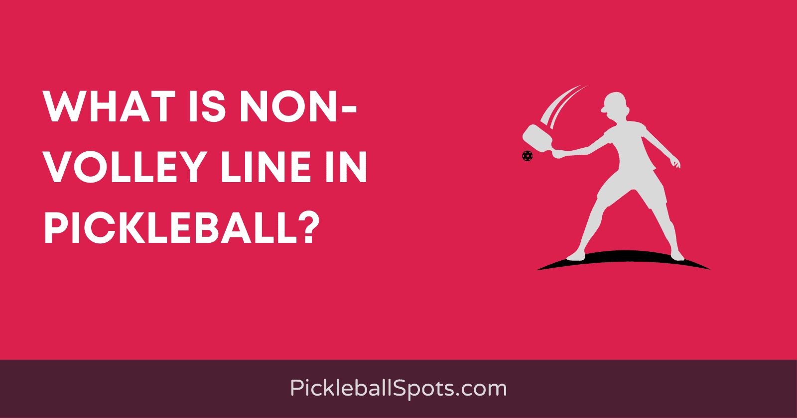 What Is Non Volley Line In Pickleball
