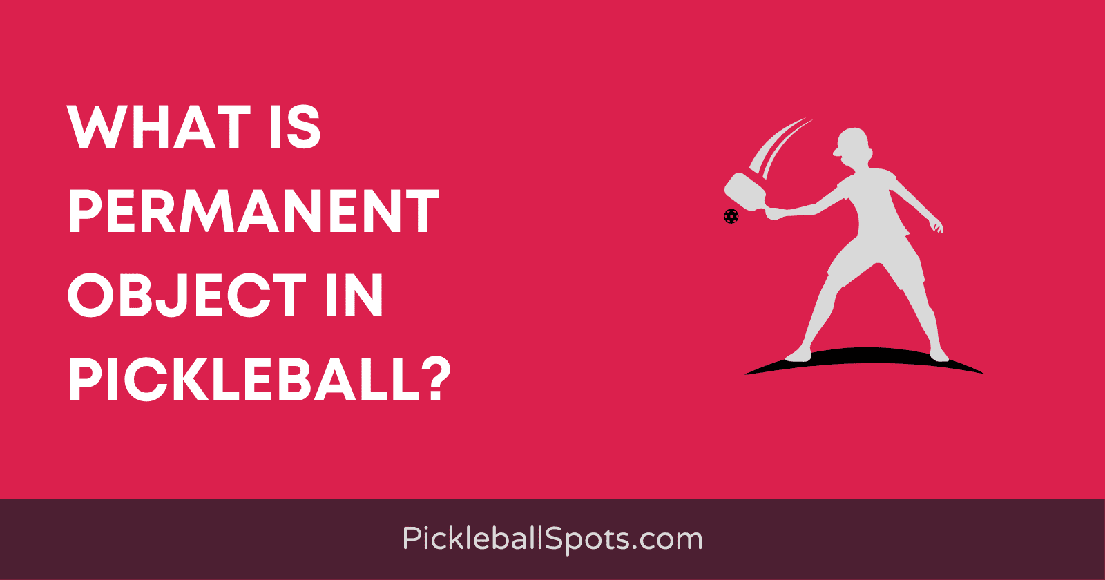 What Is Permanent Object In Pickleball