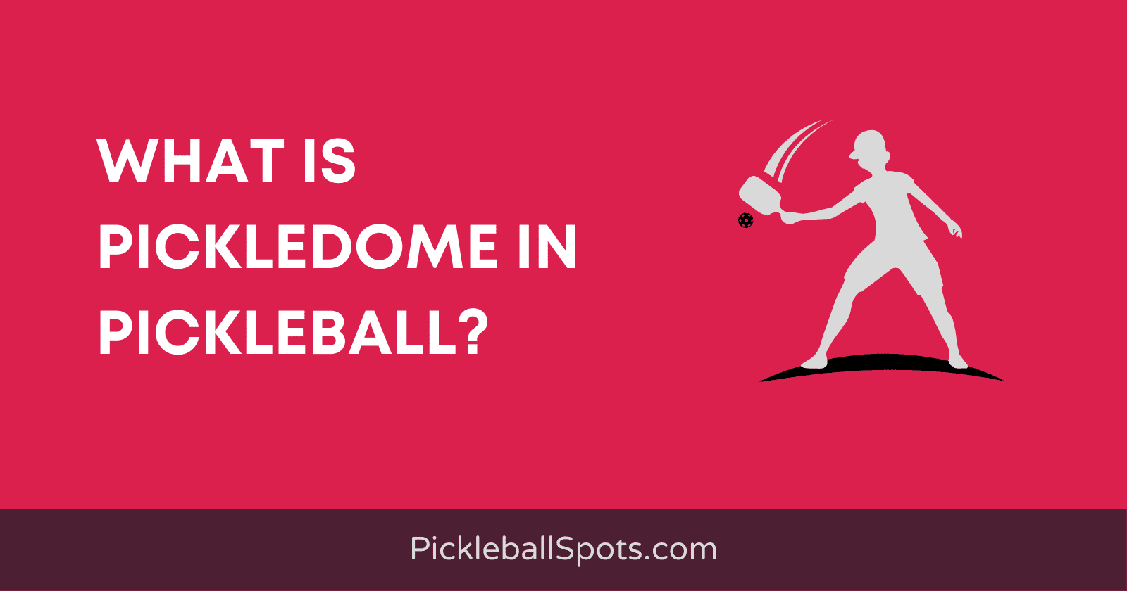 What Is Pickledome In Pickleball