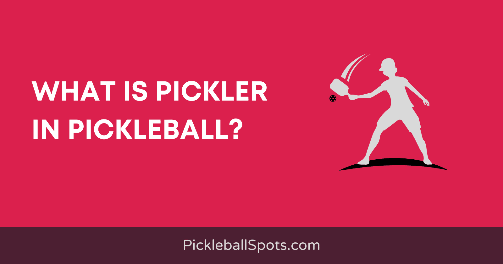 What Is Pickler In Pickleball