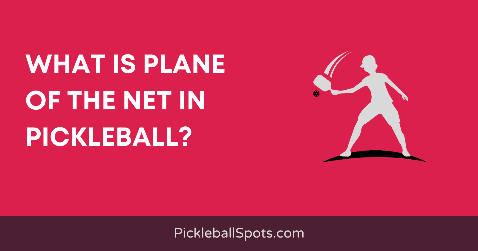 What Is Plane Of The Net In Pickleball