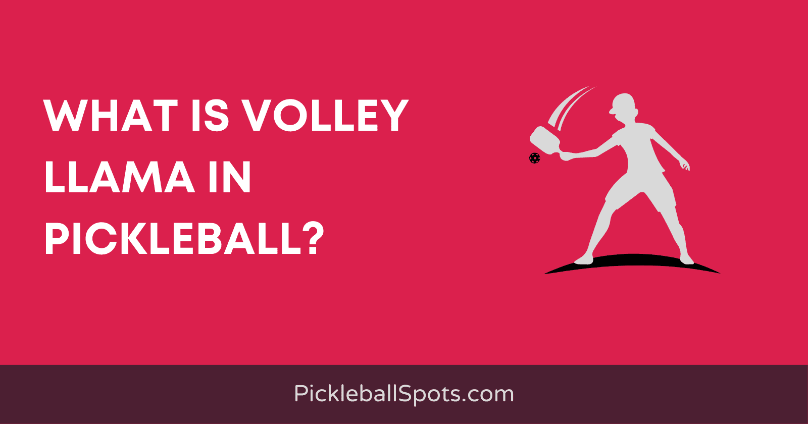 What Is Volley Llama In Pickleball