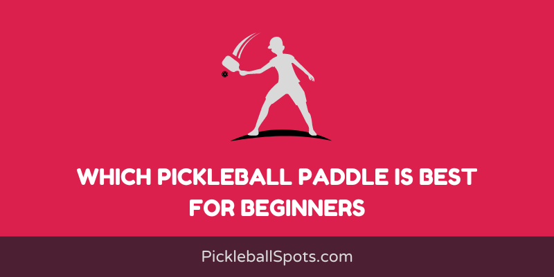 Which Pickleball Paddle Is Best For Beginners?